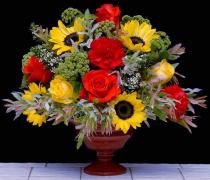 isipha-seentyatyambo 9 uluhlu